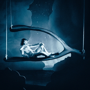 Wishbone Deluxe by Gray, Conan