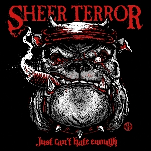 Just Can't Hate Enough by Sheer Terror