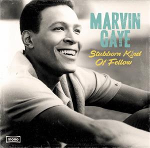 Stubborn Kind of Fellow by Gaye, Marvin