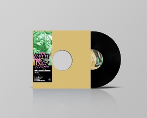 Not a Sound In Heaven by Sugar Horse