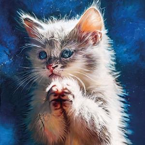Pussy Disco: the Sunrise Sessions by Perzeptiverdampfkessel...