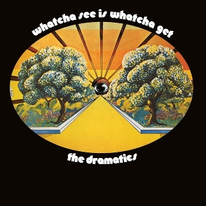Whatcha See is Whatcha Get by Dramatics