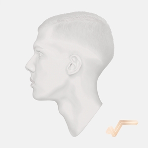 Racine Carree by Stromae
