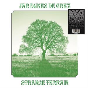 Strange Terrain by Jan Dukes De Grey