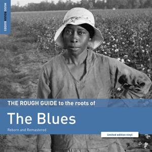 The Roots of the Blues. the Rough Guide