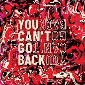 You Can't Go Back by Sarin