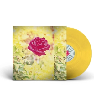 Trip by Lambchop