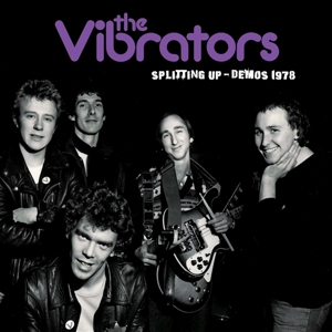 Splitting Up the Demos 1978 (Purple) by Vibrators
