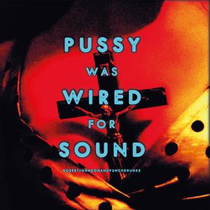 Pussy Was Wired For Sound