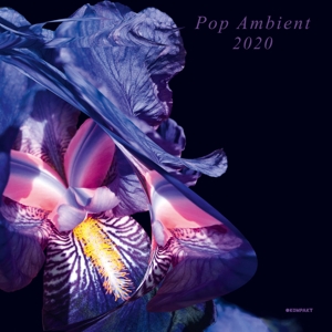 Pop Ambient 2020 by V/A