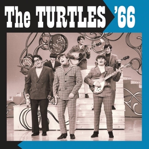 Turtle Soup by Turtles