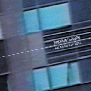 Birmingham Frequencies by Higher Intelligence Ag...