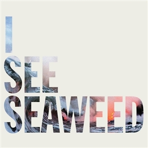 I See Seaweed by Drones