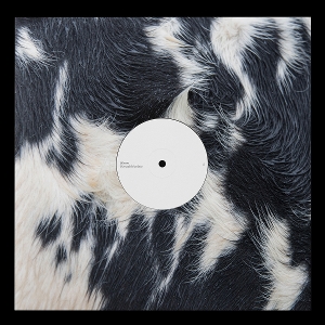 Dismantled Into Juice by Blawan