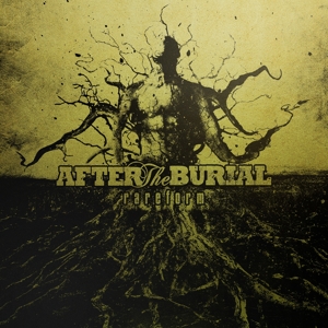 Rareform by After the Burial