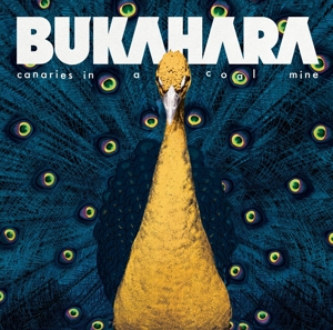 Canaries In a Coal Mine by Bukahara