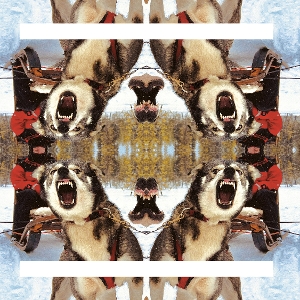 Ii