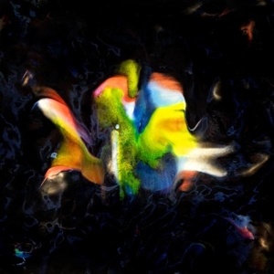 Contreband 02: Le Disque De L'ete by Berger, Flavien