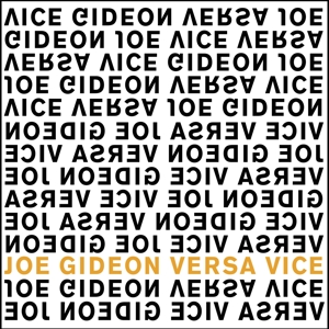 Vice Versa by Joe Gideon