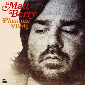 Phantom Birds by Berry, Matt