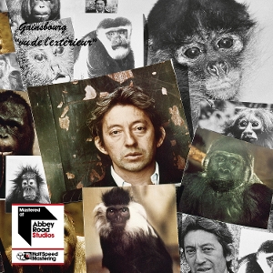 Vu De L'exterieur by Gainsbourg, Serge