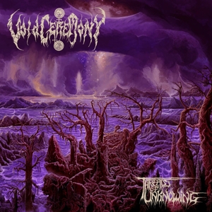 Threads of Unknowing by Voidceremony