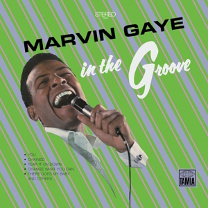 In the Groove by Gaye, Marvin
