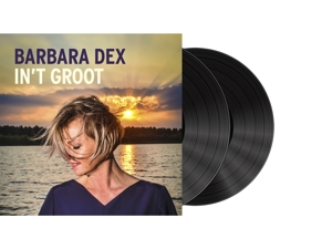 Dex In't Groot