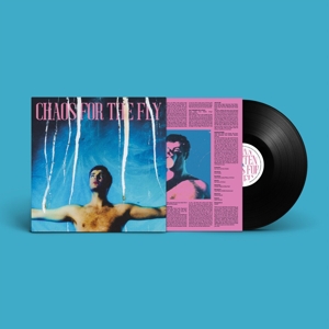 Chaos For the Fly by Chatten, Grian