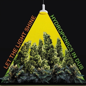 Let the Light Shine by Hydroponics