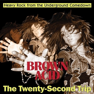 Brown Acid - the Twenty-Second Trip by V/A