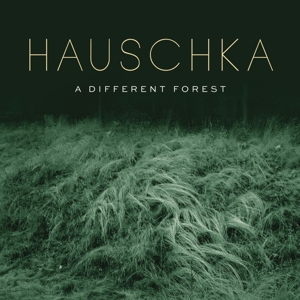 A Different Forest by Hauschka