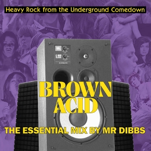 Brown Acid 'the Essential Mix' By Mr. Dibbs