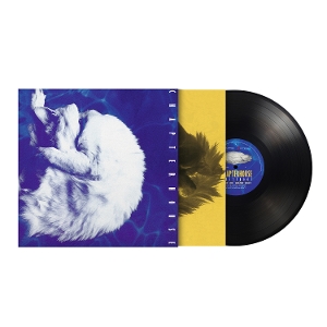 Whirlpool by Chapterhouse