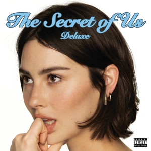 The Secret of Us by Abrams, Gracie