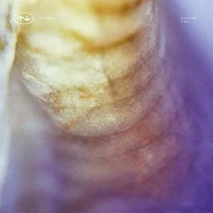 Tech043 by Vex, Eluna & A.B.E.L.
