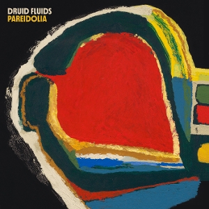 Pareidolia by Druid Fluids