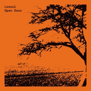 Open Door by Losoul