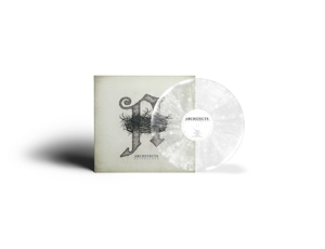 Daybreaker