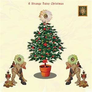 A Strange Daisy Christmas